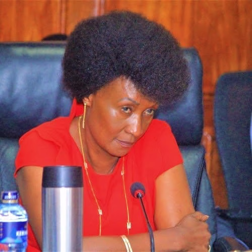 TSC retains academic qualifications for students seeking to pursue education courses 1 TSC Chief Executive Officer Dr. Nancy Njeri Macharia. She has been in the limeloght over the recent teachers' promotions.