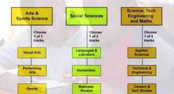 Do you understand C.B.C (2-3-3-3-3-3 Education System)? See this simplified summary