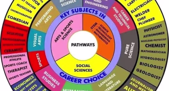 Grade 2 Best Schemes of Work
