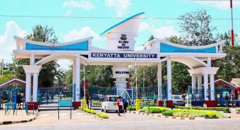 Best University Degree Courses to Consider in 2025/2026