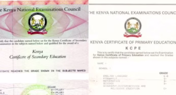How to replace KNEC Lost Certificate: 10 Easy Steps