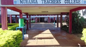 Murang’a TTC Courses, Location, Fees, Contacts, Admission Letters, Intake