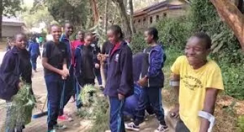 Joyvalley Special High Senior School: Full details, location, CBE Subjects Offered