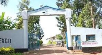 Moi High School Mbiruri: Full details, location, CBE Subjects Offered