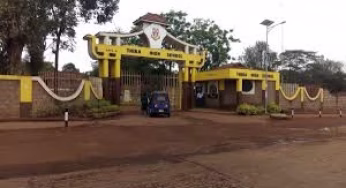 Thika High School: Full details, location, CBE Subjects Offered, UIC, Knec Code, Contacts