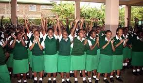 Precious Blood Kagwe Girls High School: Full details, location, CBE Subjects Offered, UIC, Knec Code, Contacts 1 Precious Blood Kagwe Girls High School: Full details, location, CBE Subjects Offered, UIC, Knec Code, Contacts