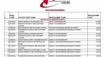 List of all Kuccps Artisan Courses, Fees and Colleges Where Offered