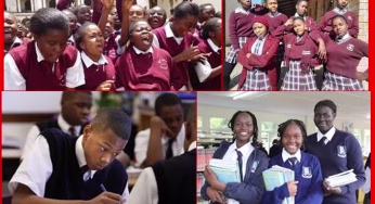 Karuri Gakure Secondary School’s CBE Subjects, Pathways, Contacts, Location {Full Details}