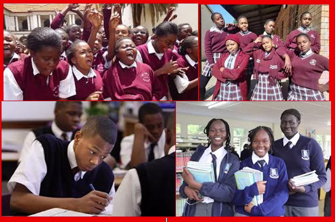 Senior Schools’ Competency Based Education (CBE) Subjects, Pathways, Contacts {Full Details}.