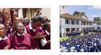 Tumutumu Mixed Secondary School’s CBE Subjects, Pathways, Contacts, Location, Fees, Admission {Full Details}