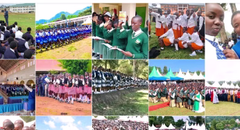 Explainer: The CBE Subjects Combinations and Career Pathways