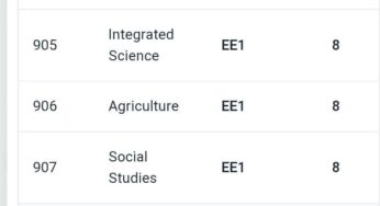 How Grade 9 Students were graded by Knec in KJSEA Exam Results
