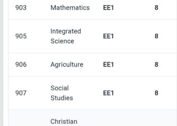The KJSEA Results Slip.