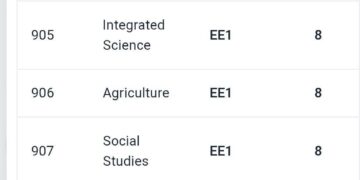 The KJSEA Results Slip.
