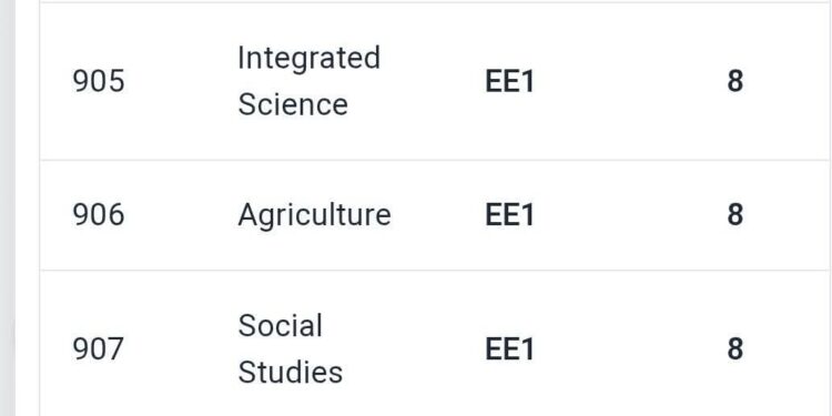 The KJSEA Results Slip.