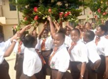 Friends School Keveye Girls' full details and reviews