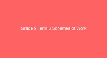 Grade 9 Term 3 Schemes of Work