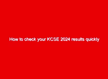 How to check your KCSE 2024 results quickly 1 how to check your kcse 2024 results quickly 670210