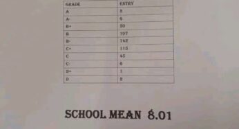 Tengecha Boys High School’s KCSE 2025 Results Analysis & Grade Count