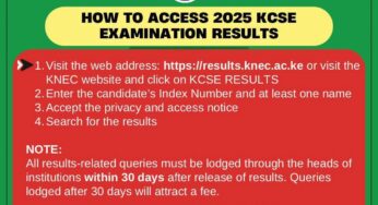 St. Joseph’s Biego Secondary School KCSE 2025 Results Analysis & Grade Count