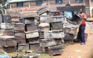 Most deadly School Tragedies in Kenya {Complete Guide}