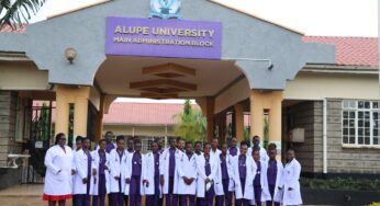Alupe University Courses, Fees & Prospectus in 2026-2027