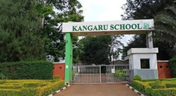Kangaru School {Comprehensive Profile}