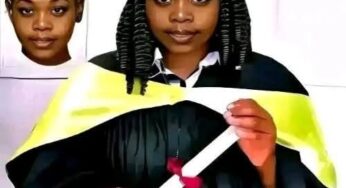 Top 7 Most Marketable Diploma Courses In Kenya Right Now (2026 Update)