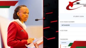 KUCCPS Student Portal, Courses application guide and requirements