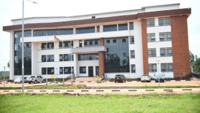 KENYATTA UNIVERSITY (MAMA NGINA UNIVERSITY COLLEGE) - COURSES, FEES & PROSPECTUS FOR 2026/ 2027