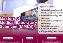 KENYA METHODIST UNIVERSITY- COURSES, FEES & PROSPECTUS FOR 2026/ 2027