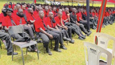 𝐊𝐞𝐫𝐢𝐜𝐡𝐨 𝐓𝐞𝐚 𝐁𝐨𝐲𝐬 𝐦𝐚𝐫𝐤 𝐠𝐨𝐥𝐝𝐞𝐧 𝐣𝐮𝐛𝐢𝐥𝐞𝐞 𝐚𝐬 𝐊𝐂𝐒𝐄 𝐫𝐞𝐬𝐮𝐥𝐭𝐬 𝐢𝐦𝐩𝐫𝐨𝐯𝐞