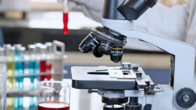 Bachelor of Medical Laboratory Sciences Cutoff Points 2026/2027 7 Bachelor of Medical Laboratory Sciences Cutoff Points 2026/2027