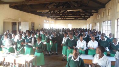 Wambasa Girls' Senior School's History, Location, Contacts, Performance £ Reviews 11 Wambasa Girls' Senior School's History, Location, Contacts, Performance £ Reviews
