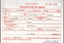 Government to make acquisition of Birth Certificates Free of Charge - PS Announces 5 You can now Download and Print Your Birth certificate Online {Official Details}