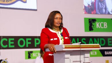 TSC Advertises 34,016 promotion vacancies, sets Monday, 10 August 2026 as deadline. 4 Evaleen Jesang Mitei who is the acting Chief Executive Officer (CEO) of the Teachers Service Commission (TSC).