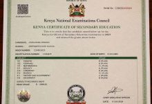 How to Download Your KCSE E-Certificate 8 How to Download Your KCSE E-Certificate