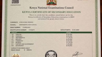 How to Download Your KCSE E-Certificate 2 How to Download Your KCSE E-Certificate