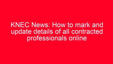 KNEC News: How to mark and update details of all contracted professionals online 12 aitm title 3044 1780801530