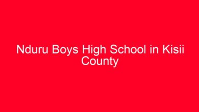 Nduru Boys High School in Kisii County 1 aitm title 761742 1780804733