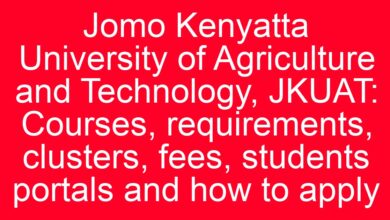 Jomo Kenyatta University of Agriculture and Technology, JKUAT: Courses, requirements, clusters, fees, students portals and how to apply 1 aitm title 827 1780800913