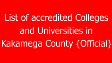 list of accredited colleges and universities in kakamega county official 756072 03903