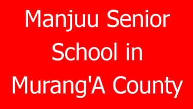 Manjuu Senior School in Murang'A County 1 manjuu senior school in muranga county 764502 e562f