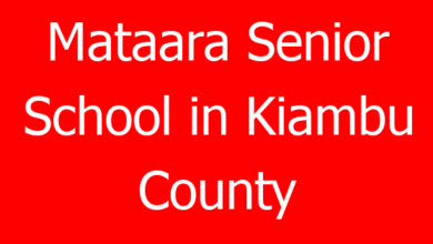 Mataara Senior School in Kiambu County 1 mataara senior school in kiambu county 761116 8d205