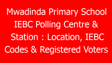 Mwadinda Primary School IEBC Polling Centre & Station : Location, IEBC Codes & Registered Voters 1 mwadinda primary school iebc polling centre station location iebc codes registered voters 790669 62ba9