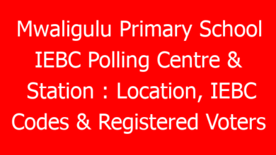 Mwaligulu Primary School IEBC Polling Centre & Station : Location, IEBC Codes & Registered Voters 4 mwaligulu primary school iebc polling centre station location iebc codes registered voters 790660 d7494