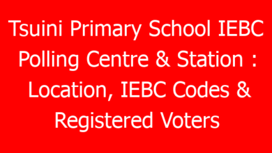 Tsuini Primary School IEBC Polling Centre & Station : Location, IEBC Codes & Registered Voters 1 tsuini primary school iebc polling centre station location iebc codes registered voters 790511 3400d